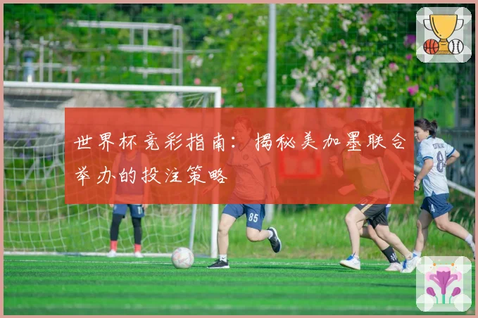世界杯竞彩指南：揭秘美加墨联合举办的投注策略