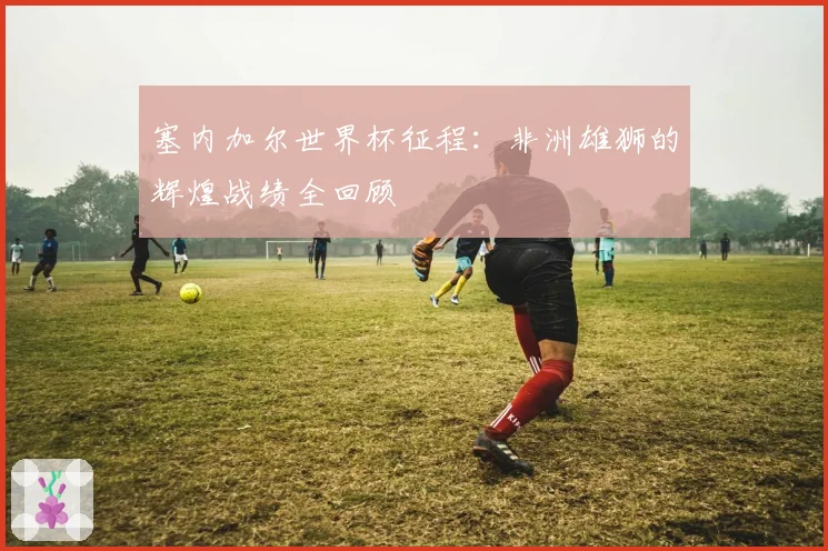 塞内加尔世界杯征程：非洲雄狮的辉煌战绩全回顾